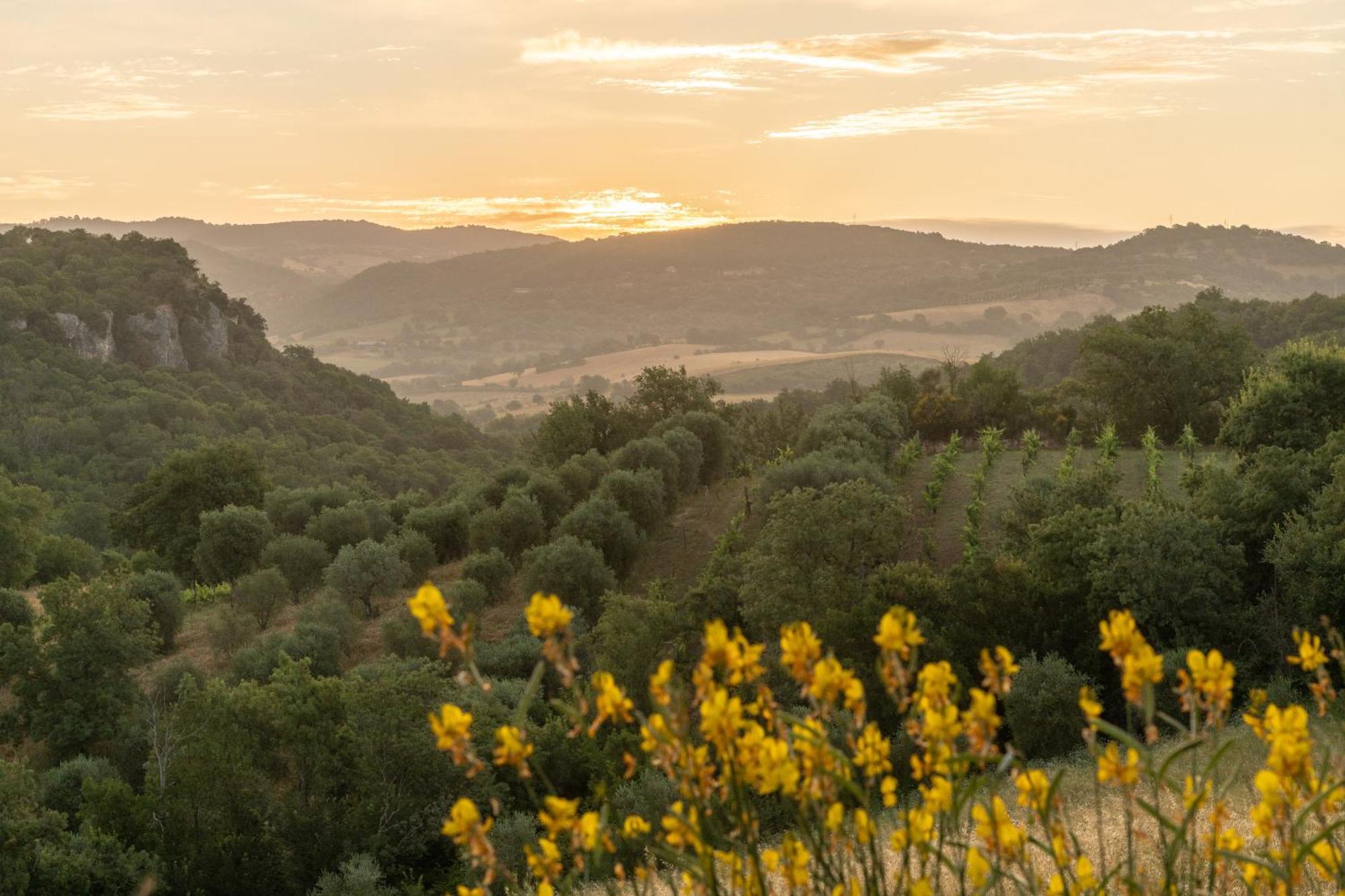 Agriturismo Fontenuova ซาตูร์เนีย ภายนอก รูปภาพ